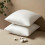 Conjunto de 2 enchimentos para almofadas quadradas decorativas de 45x45 cm (18x18 polegadas), enchimento macio e premium para almofadas de sala de 6