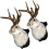 Jackalope da parete – Testa di coniglio in resina con corna, 1