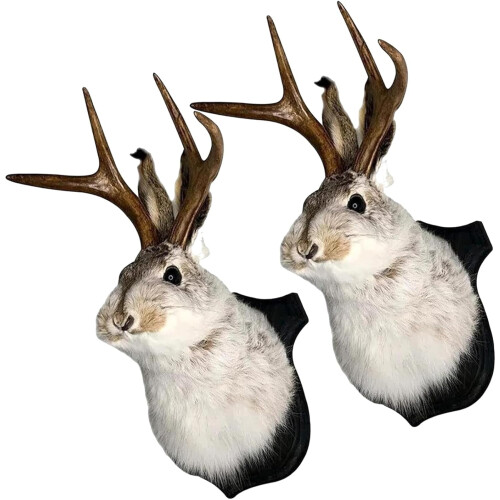 Jackalope da parete – Testa di coniglio in resina con corna,