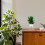 Fish Tank For Goldfish Clear Plastic Fish Bowl Office Use 1Pack 4