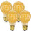 Ampoules Edison vintage A19 40W E26 2700K (lot de 4) 1