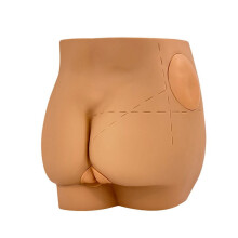 Human Hip Joint Intramuscular Injection Simulator Anatomical Model, Buttocks Care Puncture, Medical Teaching Resources