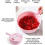 Bowl Type Manual Slicer Vegetable Cutter Multi-Functional Round Manually Cutter 8