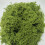 Pianta bonsai artificiale per decorazione d'interni, 1 pezzo 4