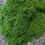 Pianta bonsai artificiale per decorazione d'interni, 1 pezzo 5