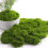 Pianta bonsai artificiale per decorazione d'interni, 1 pezzo 7