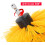 Scrub brushes for drill/screwdriver Yellow 8 parts 3