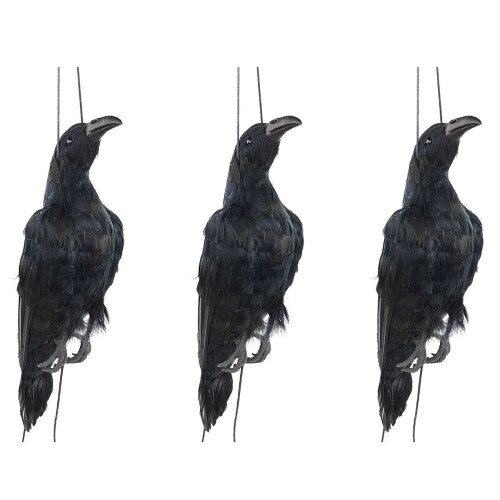 3X Realistic Hanging Dead Crow Decoy Lifesize Extra Large Black Feathered Crow