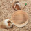 Runder Hamsterfutternapf aus Holz, beige, 1 Stück 3