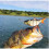 5PC Kit Articulated Artificial Lures fish baits 2