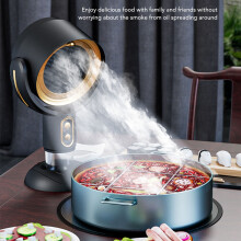 Indoor BBQ Fume Extractor