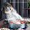Portable Rechargeable Range Hood 14