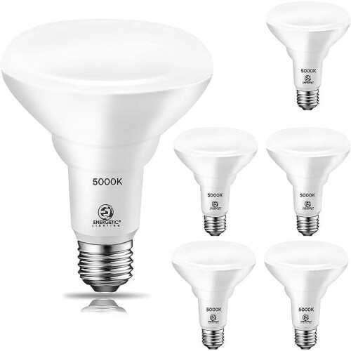 EnerYANTONtic6Pack65W BR30 Lâmpada de Embutir, Dimerizável, 650 Lúmens, Luz Branca 5000K, Base E26, Refletor Interno para Soquetes de 5/6 Polegadas