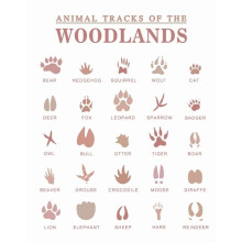 Bohém Állatnyomok Poszter – Woodland Nursery Falikép