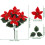Juleblomsterarrangement med 4 hoveder i vinterbuket 3