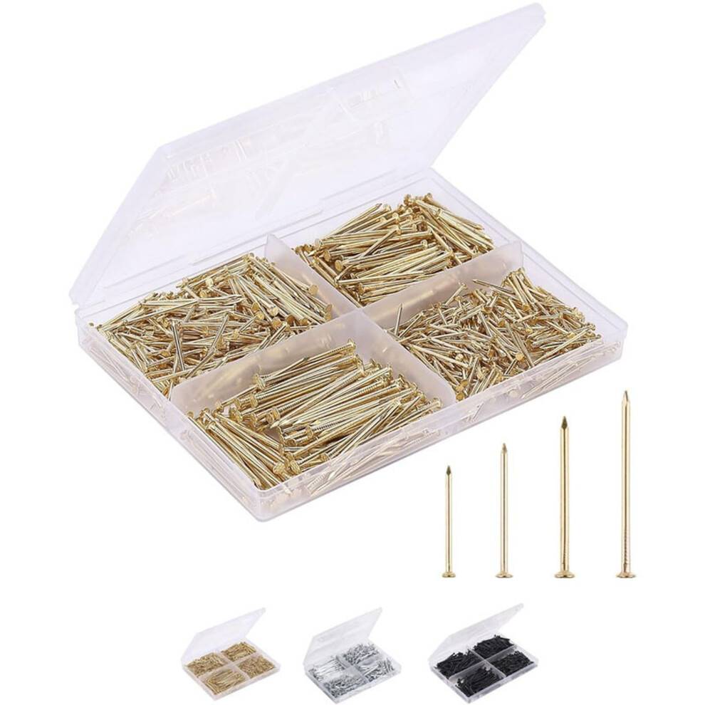 200Pcs Hardware Nail Assortment Kit With Storage Case, Heavy Duty Wall Hanging And Woodworking Nails, High-Strength Metal Picture Frame Hanging Set 9085618344686