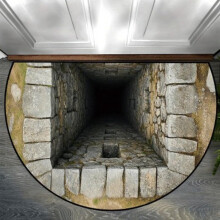 Mata wejściowa 3D Visual, antypoślizgowa, wodoodporna, do użytku wewnątrz i na zewnątrz, do łazienki, do wystroju domu (sektor)