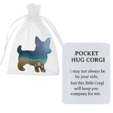Gardiens des câlins de poche – Jetons émotionnels animaux en résine avec carte inspirante, cadeaux de rentrée scolaire pour les amis, la