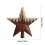 8" Star Christmas Tree Topper, Gold Silver Red or White 2