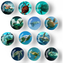 Aimants pour réfrigérateur pour adultes - Lot de 12 aimants décoratifs en verre - Aimants mignons, colorés et puissants pour réfrigérateur,