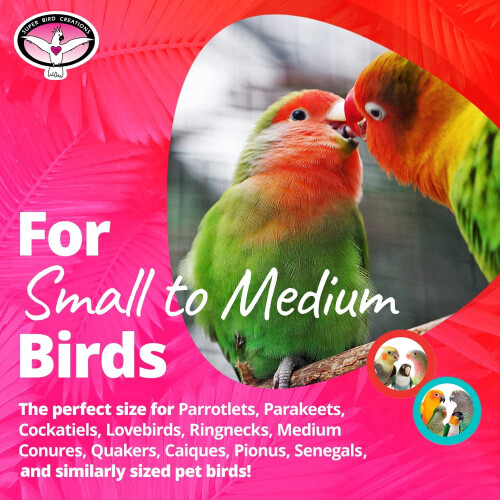 Απασχολημένη πέρκα Birdie για μικρά και μεσαία πουλιά 2