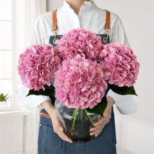 Lot de 4 fleurs artificielles d'hortensia en soie rose, tiges artificielles de 56 cm pour la décoration de la maison, des mariages et des fêtes