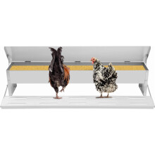 Mangeoire automatique pour poulets galvanisée résistante aux intempéries 22 lbs