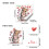 Valentine's Day Electrostatic Window Sticker 30x30cm 3
