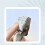 Multifunktionsstempel, Datumsstempel (englisch), Scrapbooking-Stempel 6