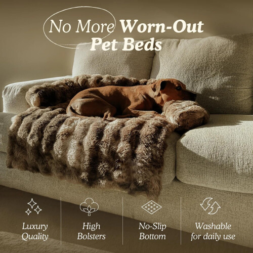 Scabre Dream Cloud Pet Sofa Bed, Άνετη Μαλακή Πλενόμενη Αντιολισθητική Κουβέρτα για Κατοικίδια 1