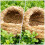 Weaving Cat Nests Sleeping Pet Nest for Hamster 1Pcs 3
