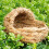 Weaving Cat Nests Sleeping Pet Nest for Hamster 1Pcs 5