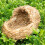 Weaving Cat Nests Sleeping Pet Nest for Hamster 1Pcs 7