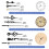 Clock Movement with 13mm Shaft & Hourly Bell Chime 4