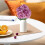 Fiori artificiali di ortensia color champagne a 5 teste 6