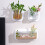 Wandmontiertes Aquarium für Zuhause oder Büro 2