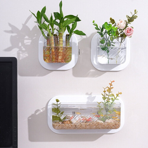 Wandmontiertes Aquarium für Zuhause oder Büro 1