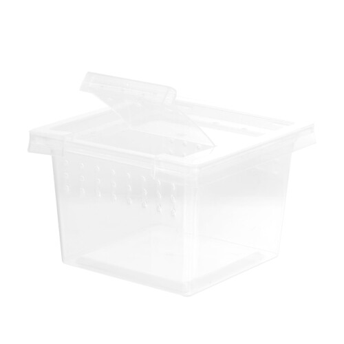 Mini insektsodlingslåda i plast, kläckbehållare, 2 st