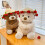 Rose Bear Toy Teddy with Red Rose 1 Piece 5