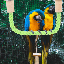 2Pcs Bird Cage Standing Pole with Cotton Rope Green Parrot Stand Stick for Exercise