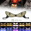 Motorcycle license plate devil eye decorative light 5