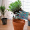 Gants de jardinage assortis (1 paire) 7