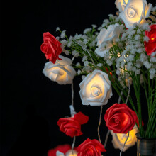 Guirlande lumineuse de roses blanches de 5 m (16,4 pi) et 50 lumières
