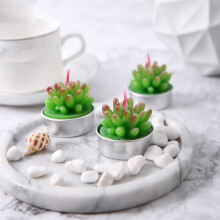 Juego de 3 velas de cera con diseño de cactus verde, 14 x 5,5 x 5 cm.