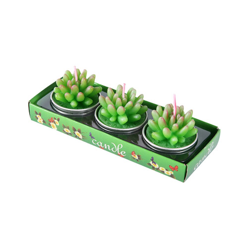 Set van 3 groene cactuswaskaarsen, 14x5,5x5 cm 1