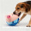 Pelota interactiva para perros con sonido, peluche lavable con 4