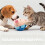 Pelota interactiva para perros con sonido, peluche lavable con 5