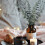 36 Pieces of Eucalyptus Stems Artificial Eucalyptus Leaf Stems True Gray Green Touch Leaf Branches 2