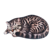 En promotion ! Tapis de bain doux et absorbant en forme de chat – Lavable, antidérapant, compatible avec les salles de bain, les chambres, les
