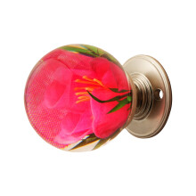 Pomello per porta retrò rotondo in resina epossidica a forma di fiore, tiranti trasparenti in cristallo a forma di animale – Accessori decorativi